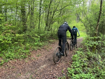 Fahrwerkseinstellung